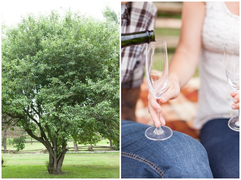 BLP_Ottawa_Wedding_Photographer_0180