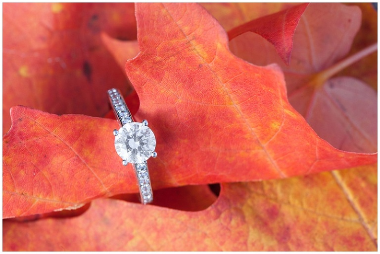 Ottawa River Fall Engagement Session