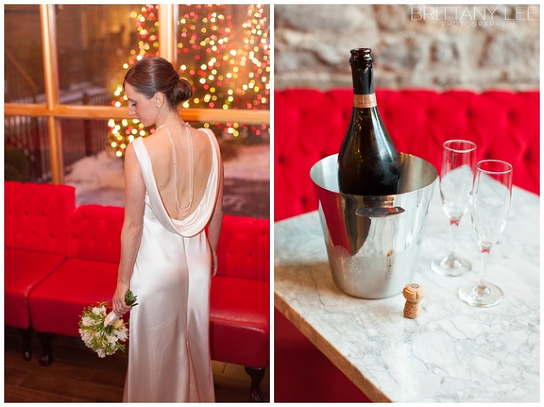 Moscow Tea Room wedding portraits, Ottawa