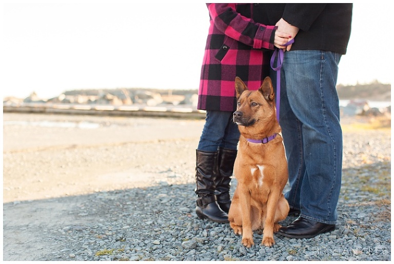 Nova Scotia Engagement Session with a dog