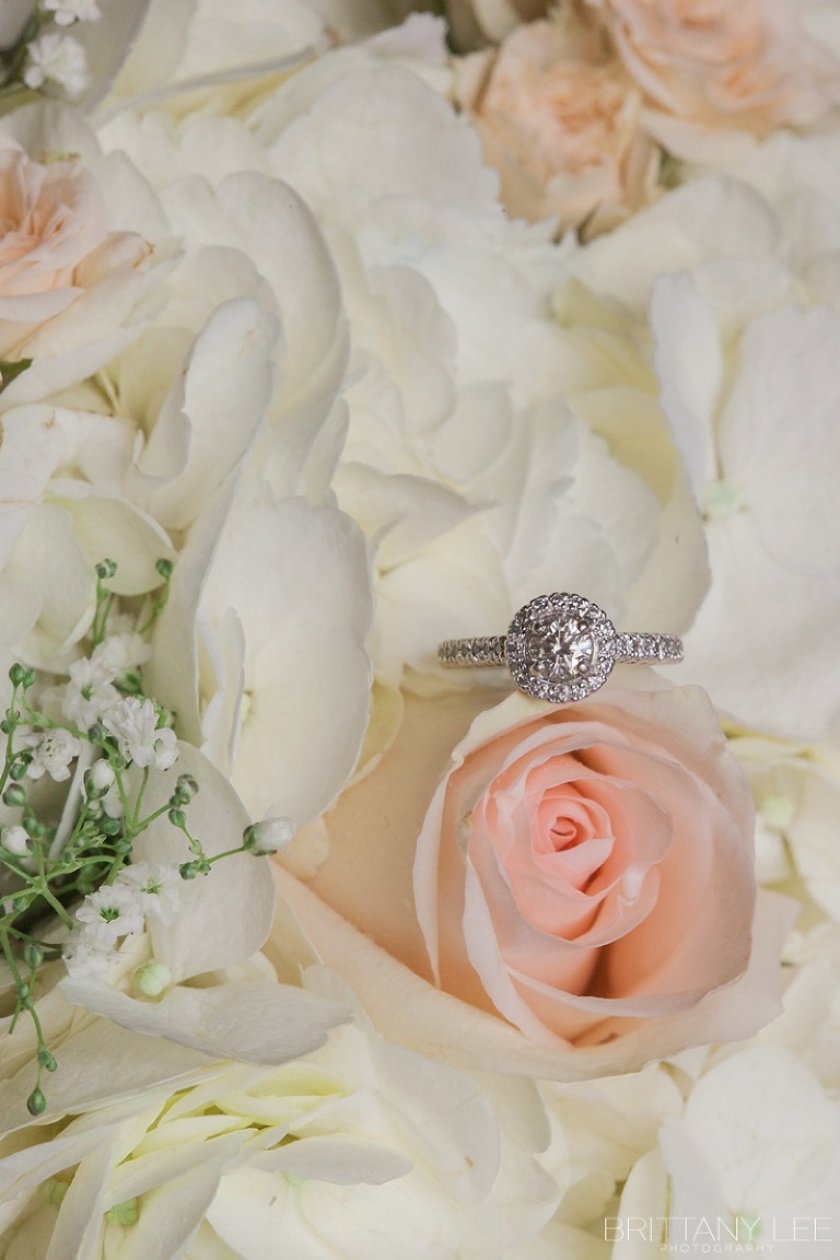Ceremony at Tabaret Hall - blush and blue