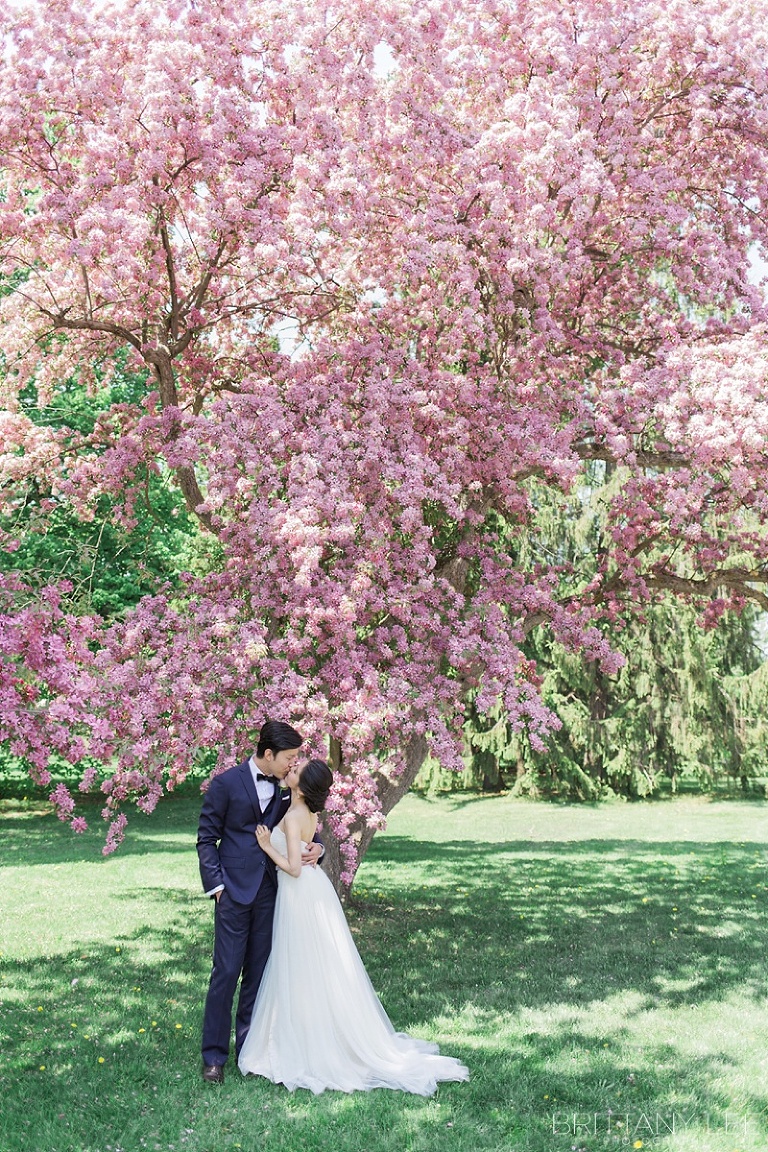 Bride and Groom first look in Ottawa Ornamental Gardens