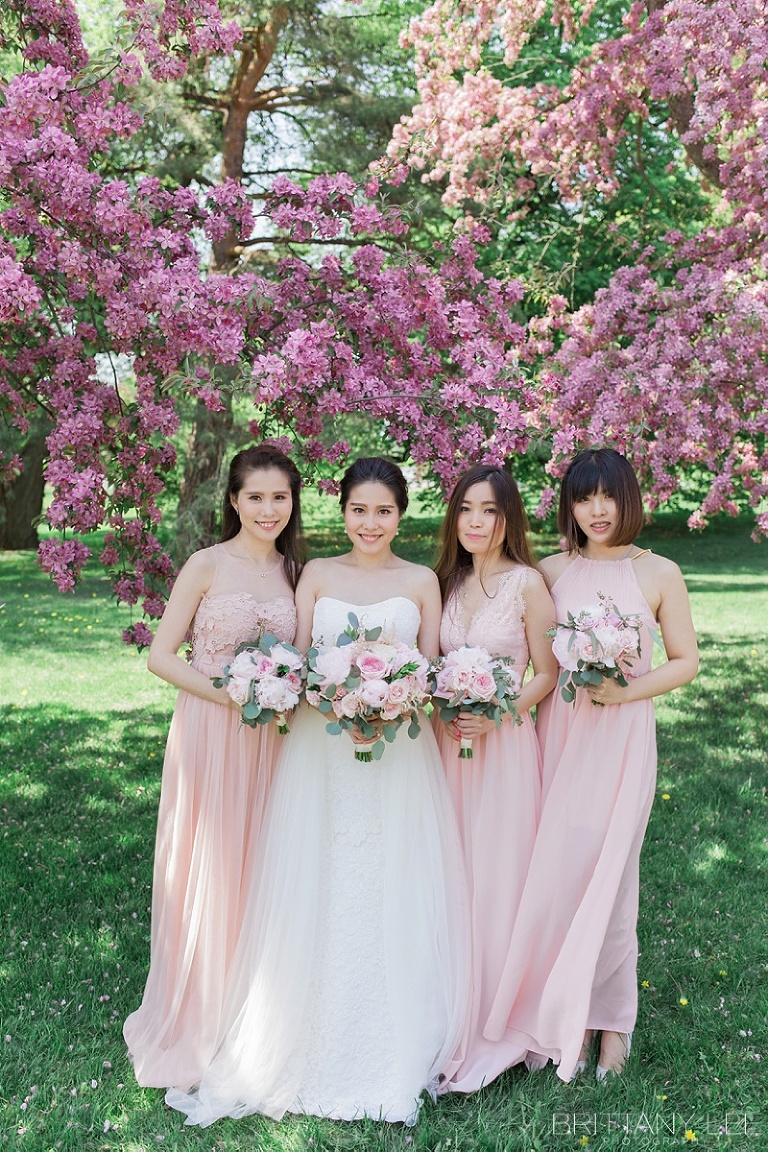 blush bridesmaid dresses