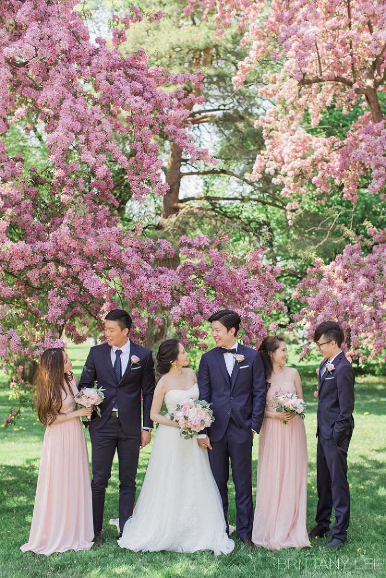 Ottawa wedding party under apple blossom trees
