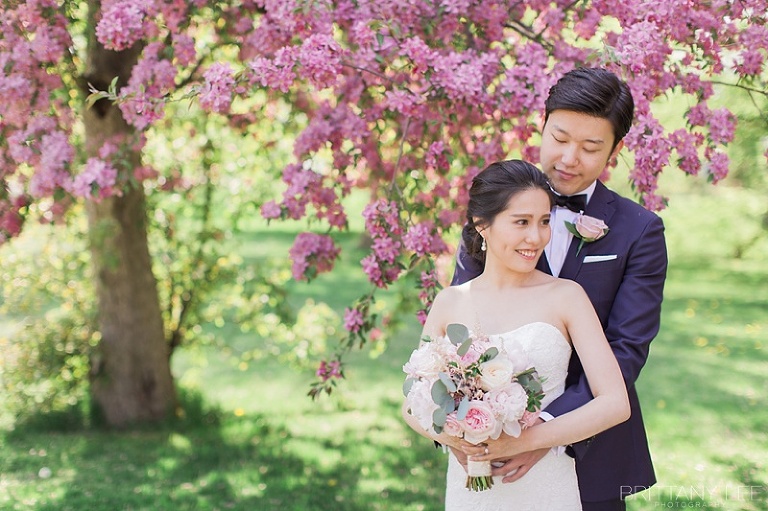 Ottawa wedding party under apple blossom trees