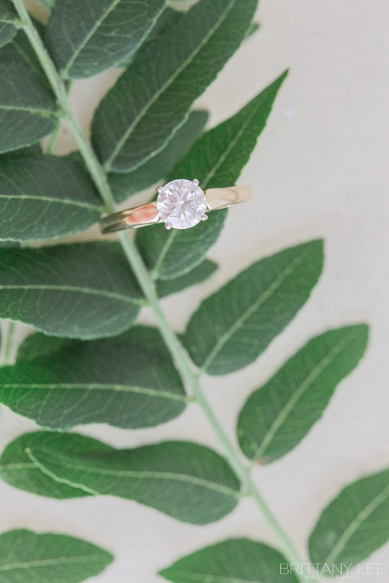 Mooneys Bay Beach Ottawa engagement photos