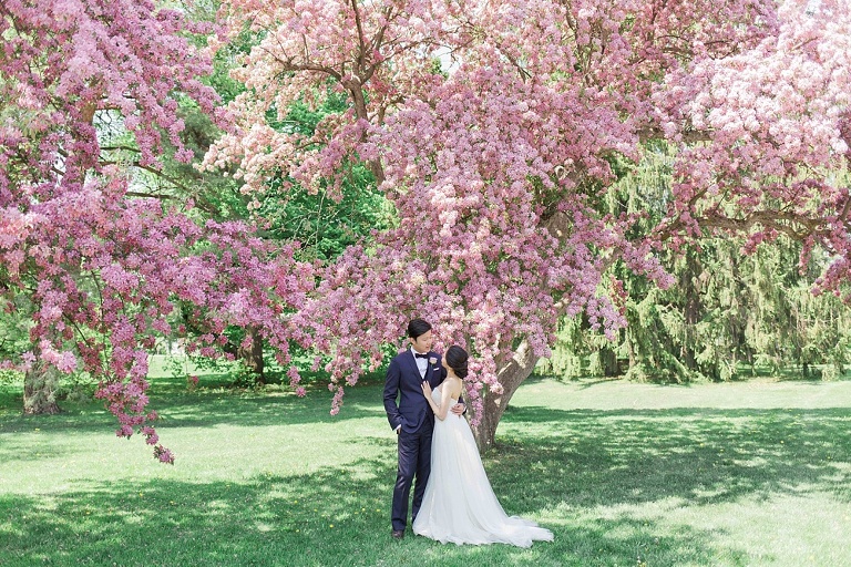 Favourite Wedding Photos from 2016 - Bride and groom looking at each other under a giant cherry blossom tree