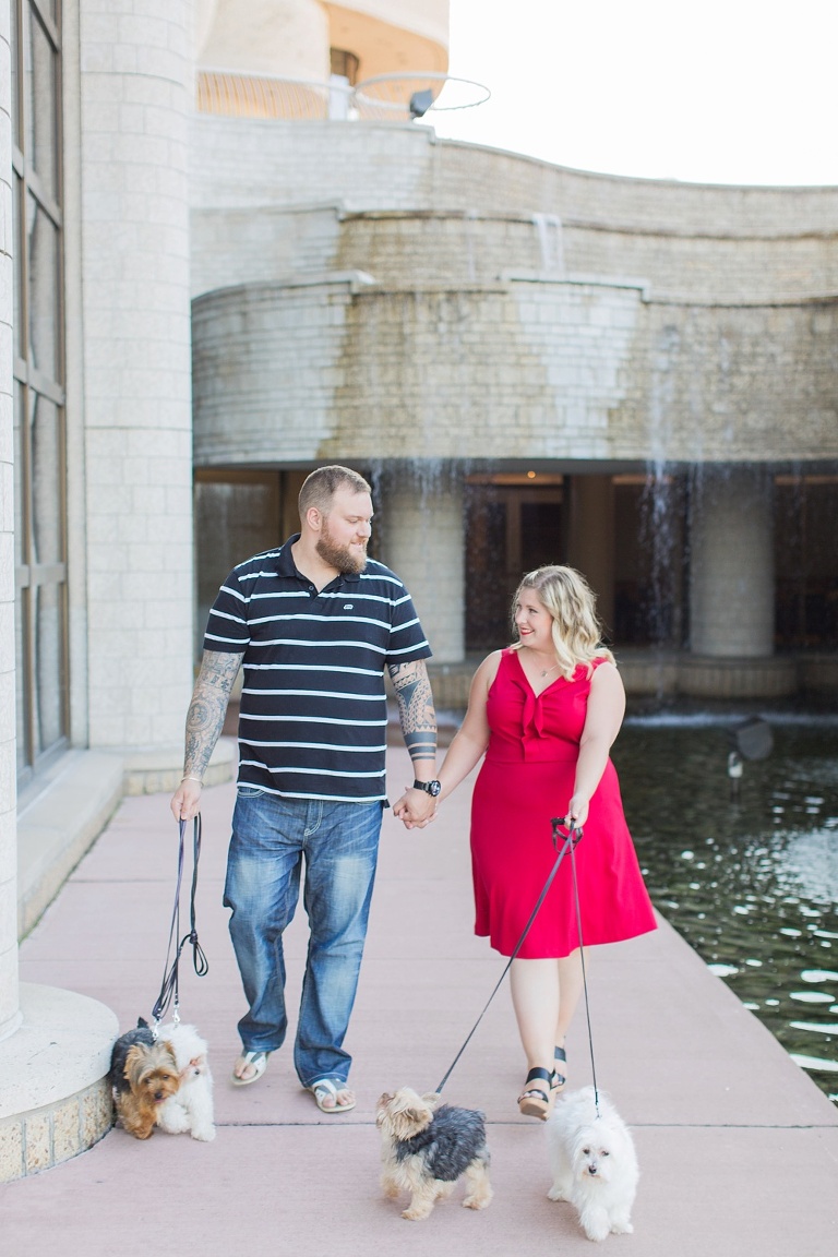 Favourite Engagement Photos from 2016 - Couple walking their 4 dogs during engagement photos