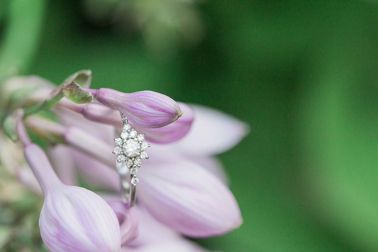Ottawa Arboretum Engagement Photos along the Ottawa river