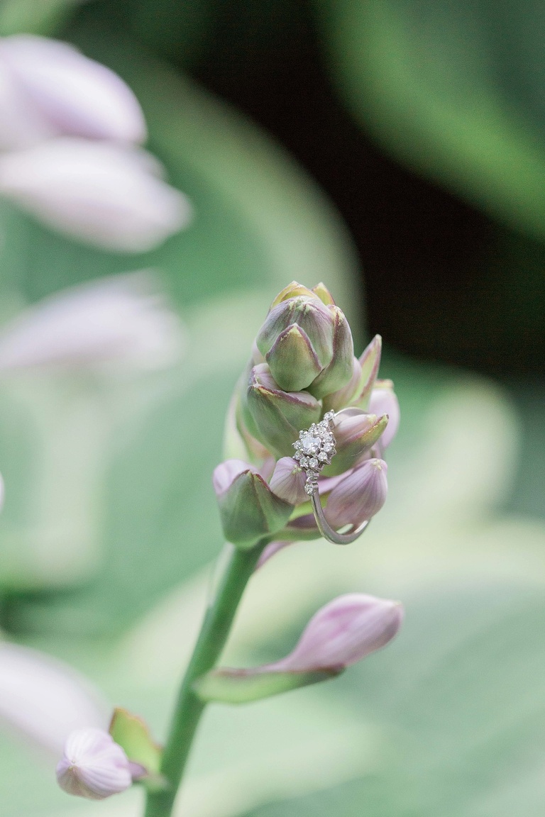 Ottawa Arboretum Engagement Photos along the Ottawa river