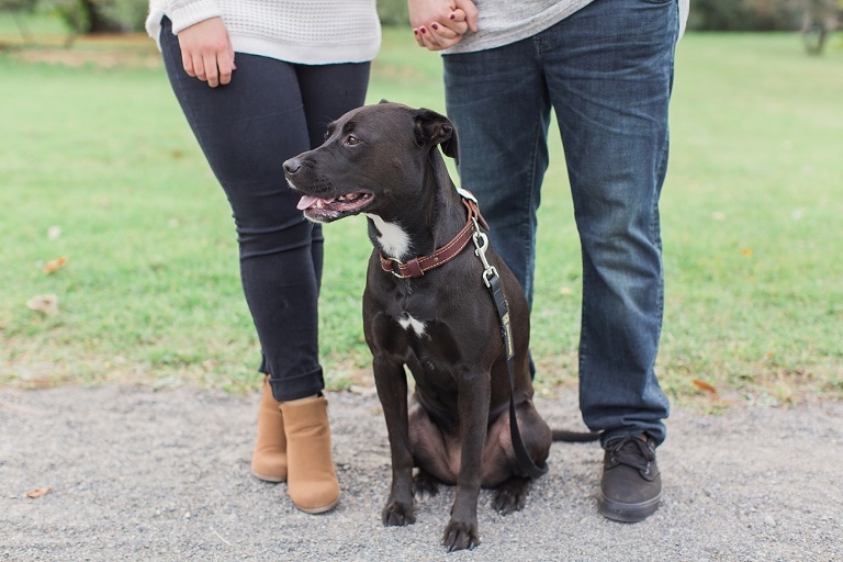 Cozy Fall engagement session at Ottawa Arboretum