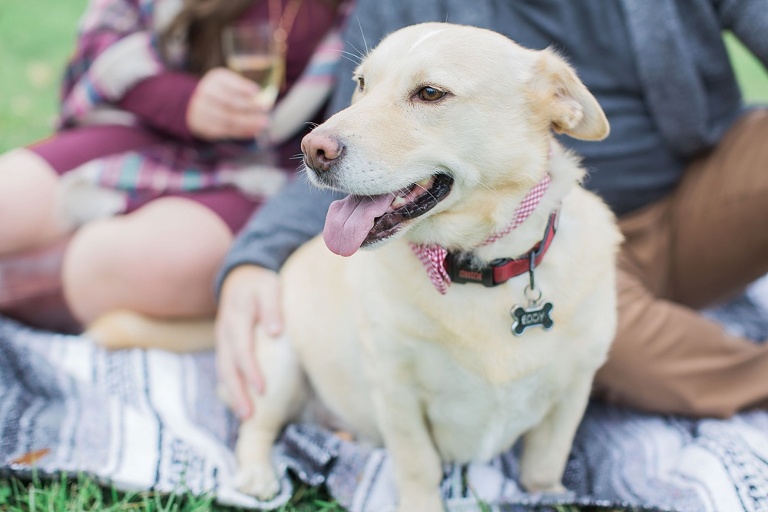 Arboretum Fall Engagement Photos at the Ottawa Experimental farm
