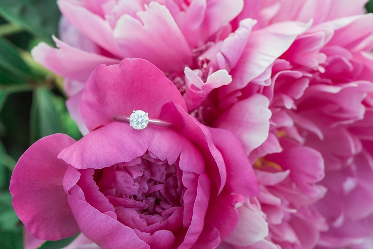 engagement photos at the Ottawa experimental farm and Ottawa Arboretum